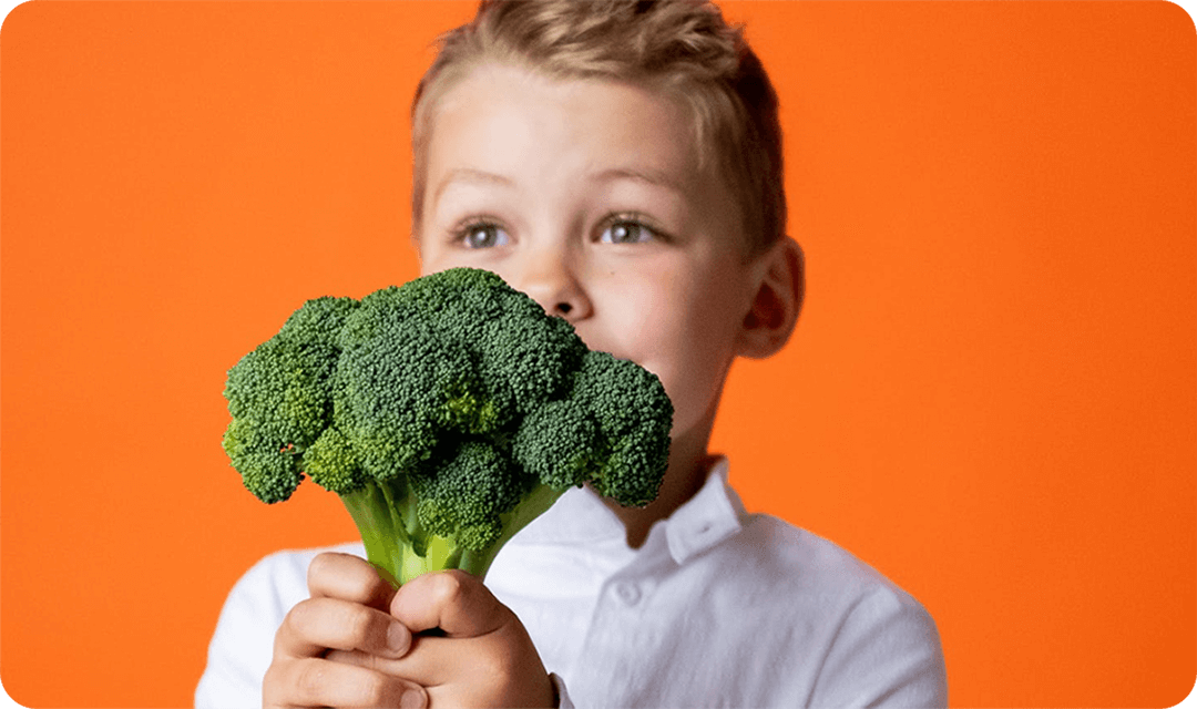 Blandit praesent  duis dolore